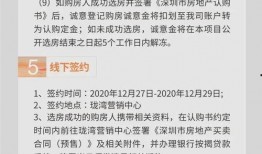 深圳网友马小姐最新爆料,揭秘最新热点事件内幕