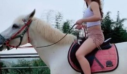 深圳网友马小姐最新爆料,揭秘最新热点事件内幕